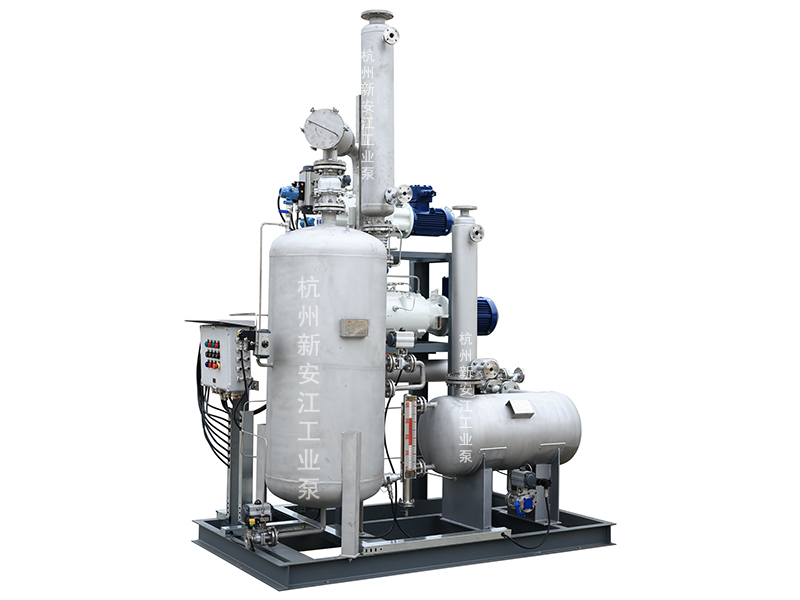 集成化羅茨螺桿真空系統(tǒng)，高效穩(wěn)定，勝任復(fù)雜苛刻工藝-杭州新安江工業(yè)泵有限公司